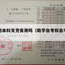 助学班本科文凭有用吗（助学自考和自考的区别）