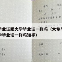 大专毕业证跟大学毕业证一样吗（大专毕业证跟大学毕业证一样吗知乎）