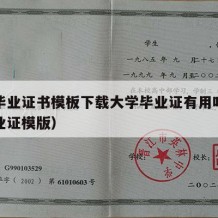 大学毕业证书模板下载大学毕业证有用吗（大学毕业证模版）