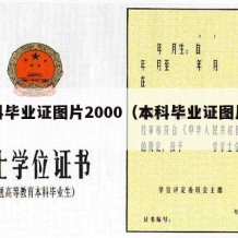 本科毕业证图片2000（本科毕业证图片封面）