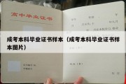 成考本科毕业证书样本（成考本科毕业证书样本图片）