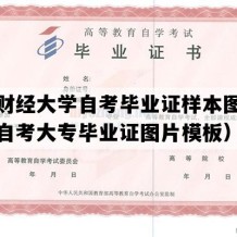 东北财经大学自考毕业证样本图片（辽宁自考大专毕业证图片模板）