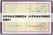 大学毕业证书模板范本（大学毕业证书模板范本图片）