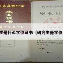 研究生是什么学位证书（研究生是学位证吗）