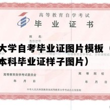 中山大学自考毕业证图片模板（广东自考本科毕业证样子图片）