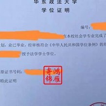 大学毕业证遗失证明格式模板(大学毕业证遗失证明格式模板图片)