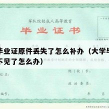 大学毕业证原件丢失了怎么补办（大学毕业证原件不见了怎么办）