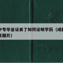 成都中专毕业证丢了如何证明学历（成都中专毕业证图片）