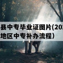 会泽县中专毕业证图片(2022年云南地区中专补办流程）