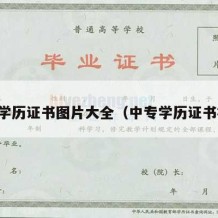 中专学历证书图片大全（中专学历证书样本）