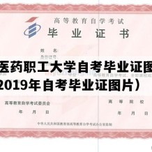 上海医药职工大学自考毕业证图片样本（2019年自考毕业证图片）