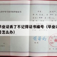 大学毕业证丢了不记得证书编号（毕业证书忘记编号怎么办）