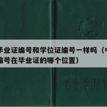 中专毕业证编号和学位证编号一样吗（中专毕业证编号在毕业证的哪个位置）