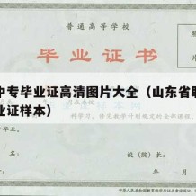 山东中专毕业证高清图片大全（山东省职业中专毕业证样本）