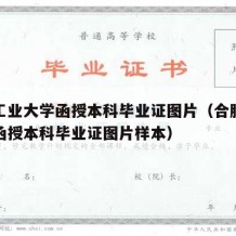 合肥工业大学函授本科毕业证图片（合肥工业大学函授本科毕业证图片样本）