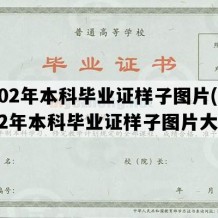 2002年本科毕业证样子图片(2002年本科毕业证样子图片大全)