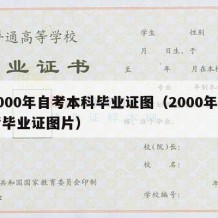 2000年自考本科毕业证图（2000年自考毕业证图片）