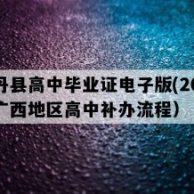 南丹县高中毕业证电子版(2001年广西地区高中补办流程）