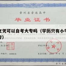 小学文凭可以自考大专吗（学历只有小学怎么考大专）