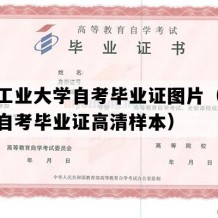 广东工业大学自考毕业证图片（广东成人自考毕业证高清样本）