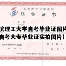 哈尔滨理工大学自考毕业证图片（黑龙江自考大专毕业证实拍图片）