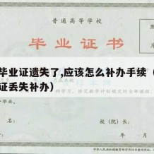 大学毕业证遗失了,应该怎么补办手续（大学毕业证丢失补办）