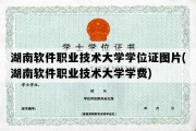 湖南软件职业技术大学学位证图片(湖南软件职业技术大学学费)