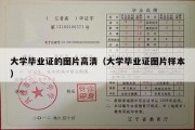 大学毕业证的图片高清（大学毕业证图片样本）