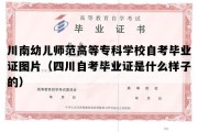 川南幼儿师范高等专科学校自考毕业证图片（四川自考毕业证是什么样子的）