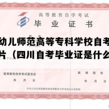 川南幼儿师范高等专科学校自考毕业证图片（四川自考毕业证是什么样子的）