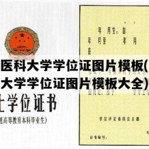 新疆医科大学学位证图片模板(新疆医科大学学位证图片模板大全)