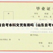 山东省自考本科文凭有用吗（山东自考本科怎么样）