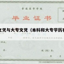 本科文凭与大专文凭（本科和大专学历有什么区别）