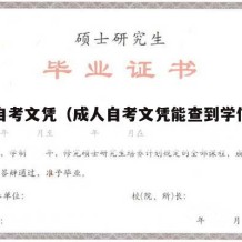 成人自考文凭（成人自考文凭能查到学信网吗）