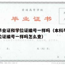 本科毕业证和学位证编号一样吗（本科毕业证和学位证编号一样吗怎么查）