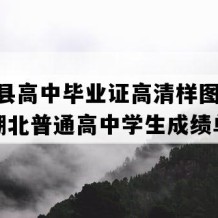 远安县高中毕业证高清样图(1991年湖北普通高中学生成绩单）