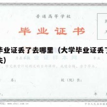 大学毕业证丢了去哪里（大学毕业证丢了去哪里挂失）