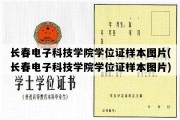 长春电子科技学院学位证样本图片(长春电子科技学院学位证样本图片)