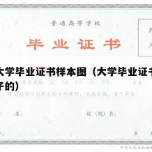 正规大学毕业证书样本图（大学毕业证书是什么样子的）