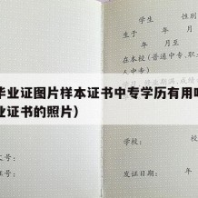 中专毕业证图片样本证书中专学历有用吗（中专毕业证书的照片）