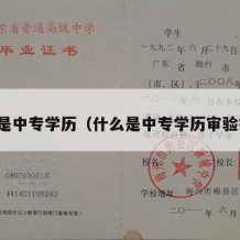 什么是中专学历（什么是中专学历审验报告）