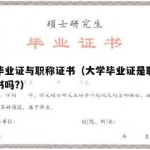 大学毕业证与职称证书（大学毕业证是职业资格证书吗?）