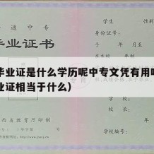 中专毕业证是什么学历呢中专文凭有用吗（中专毕业证相当于什么）