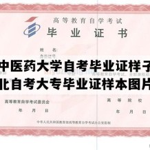 河北中医药大学自考毕业证样子图片（河北自考大专毕业证样本图片）