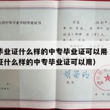 中专毕业证什么样的中专毕业证可以用（中专毕业证什么样的中专毕业证可以用）