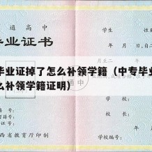 中专毕业证掉了怎么补领学籍（中专毕业证掉了怎么补领学籍证明）