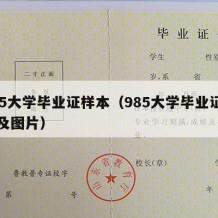 985大学毕业证样本（985大学毕业证样本及图片）