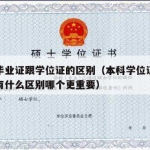 本科毕业证跟学位证的区别（本科学位证和毕业证有什么区别哪个更重要）