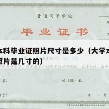 大学本科毕业证照片尺寸是多少（大学本科毕业证照片是几寸的）