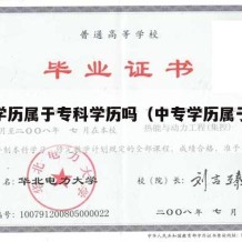 中专学历属于专科学历吗（中专学历属于高校吗）